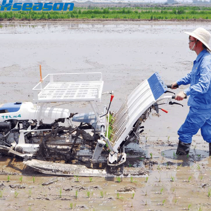 Transplantadora de arroz PC4
